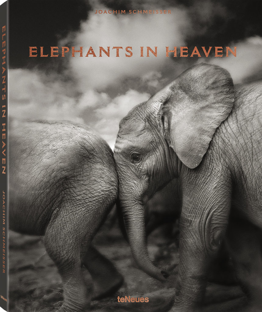 Joachim Schmeisser Elephants in Heaven 
