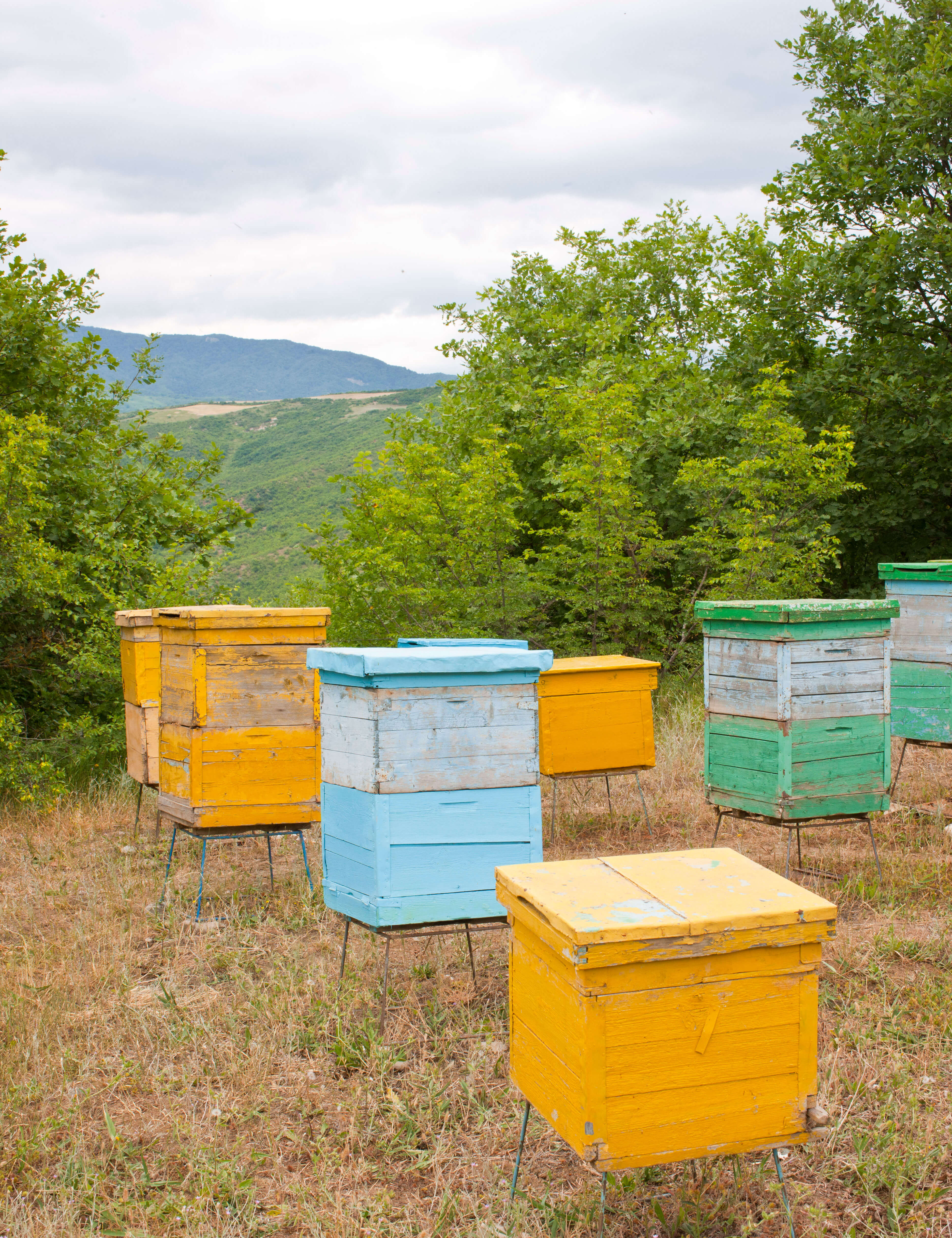 roadside beehives in Azerbaijan 