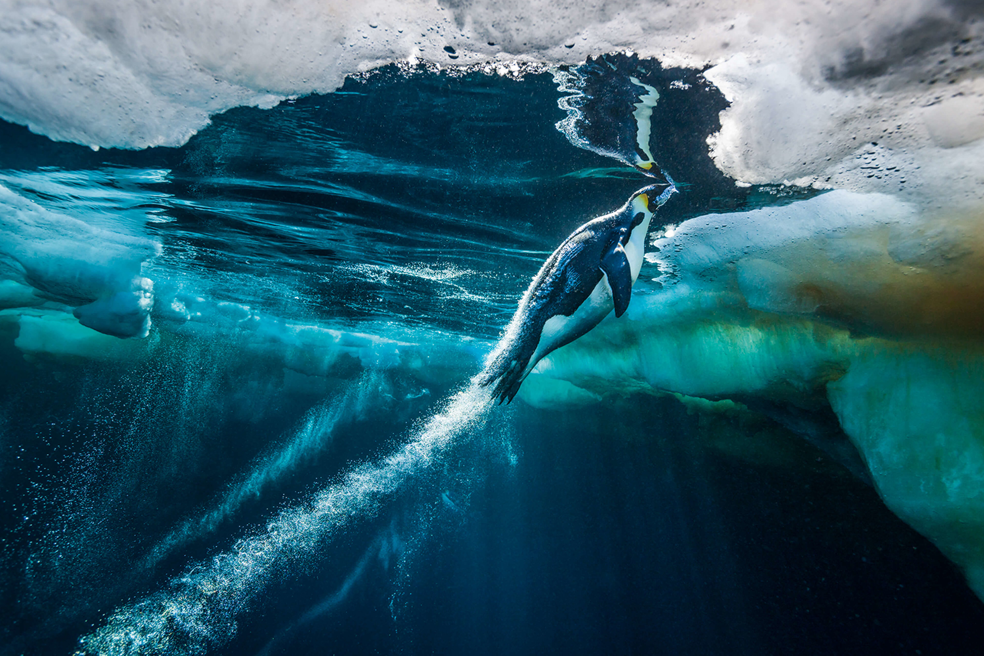 Photographer Paul Nicklen on his love affair with the Arctic landscape