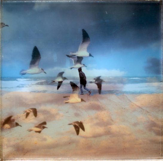 photo of birds layered over an image of a man running by the sea