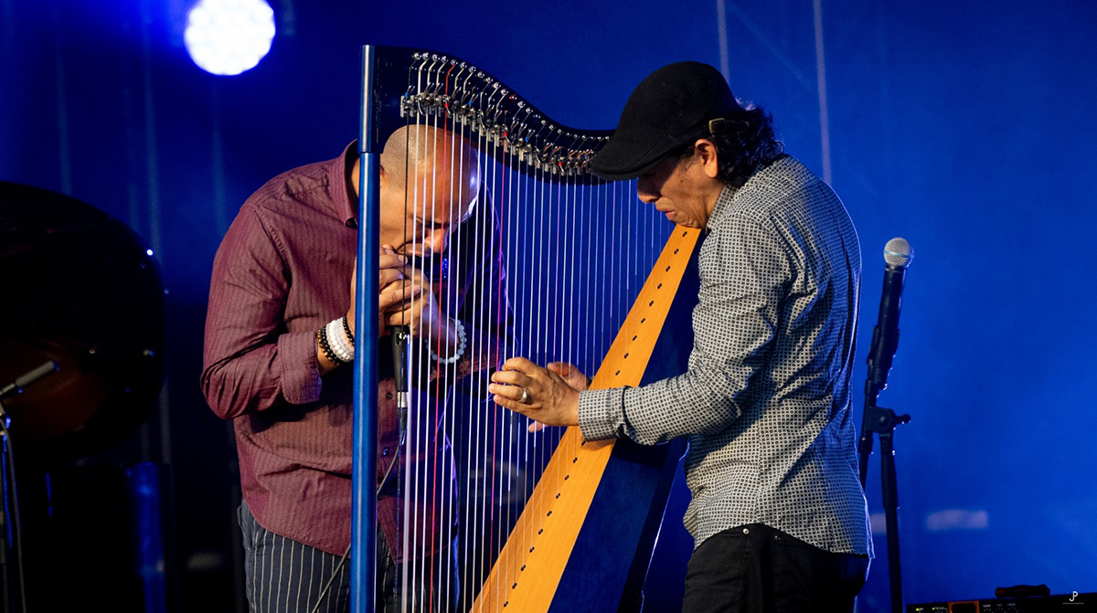 Two men playing the harp